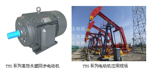 TYG高效永磁同步电机